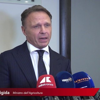 Agricoltura, Lollobrigida: "L'UE cambi passo su competitività e fondi, difesi 9 miliardi per l'Italia" Agricoltura, Lollobrigida: "L'UE cambi passo su competitività e fondi, difesi 9 miliardi per l'Italia"