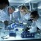Malattie rare, Sma: nuova formulazione in compresse apre all'indipendenza Malattie rare, Sma: nuova formulazione in compresse apre all'indipendenza