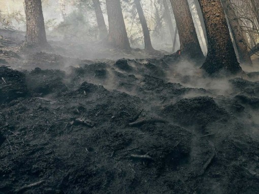 Monte Barone: il peggio è passato, ma l'incendio cela insidie Monte Barone: il peggio è passato, ma l'incendio cela insidie