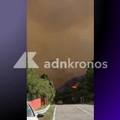 Incendi in Sardegna, notte di fuoco ad Arzana: dall'alba in volo due Canadair