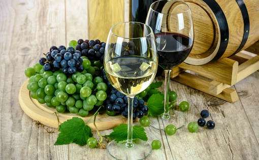 Regione, approvata nuova disciplina enoteche e delle strade del vino in Piemonte