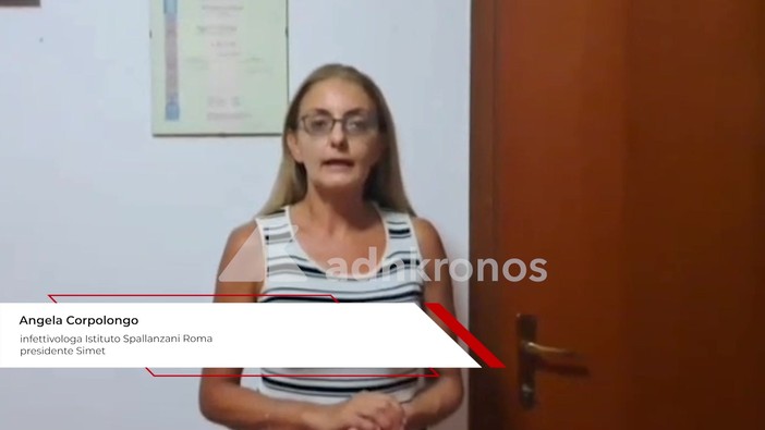 Malaria, infettivologa: "Non siamo immuni, da noi mortalità può essere elevata" Malaria, infettivologa: "Non siamo immuni, da noi mortalità può essere elevata"