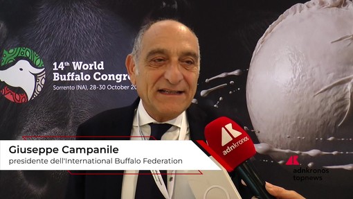 Campanile (International Buffalo Federation): "Robotica e genomica cambiano allevamento bufalino"