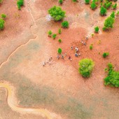 Ambiente: Neya del Gruppo Mundys pianta 2.500 ettari di mangrovie in Madagascar Ambiente: Neya del Gruppo Mundys pianta 2.500 ettari di mangrovie in Madagascar