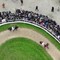 Ippica: grande spettacolo all'Ippodromo Snai di San Siro per la 104esima edizione del Jockey Club S.I.R.E.