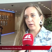 Agricoltura, Guarda (Verdi): "Pac e Ocm fondamentali per il futuro del settore in Europa"