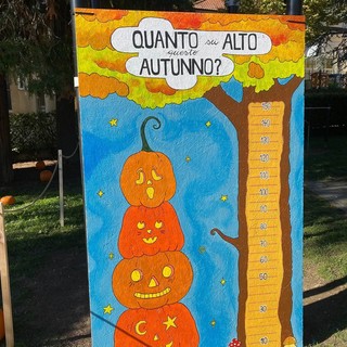 Valduggia si anima con ciclamini, castagne e zucche decorate
