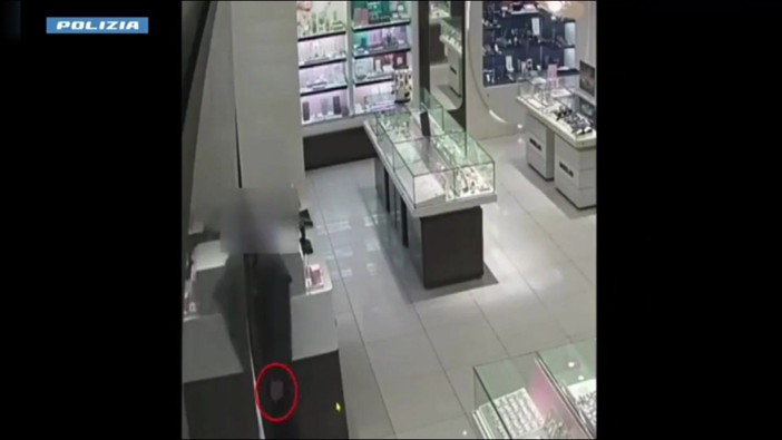 Rapina con pistola in una gioielleria a Firenze, il video delle minacce a un dipendente e la fuga con oltre 100mila euro Rapina con pistola in una gioielleria a Firenze, il video delle minacce a un dipendente e la fuga con oltre 100mila euro