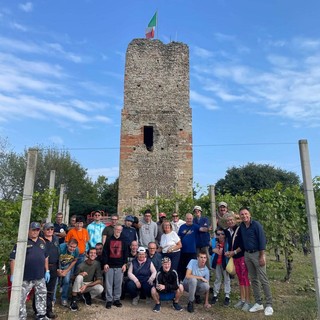 Gattinara, si chiude la vendemmia al vigneto sperimentale della Torre delle Castelle