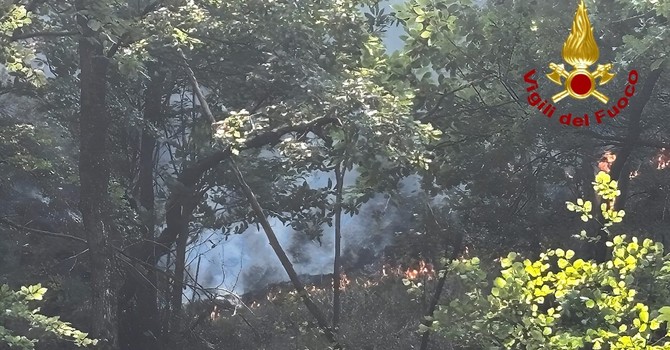 Incendio in alta Valsesia: continua il dispositivo di soccorso coordinato dai Vigili del Fuoco