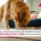 Pet food, previsto boom nel 2034: crescita 48% e 200 miliardi