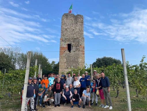 Gattinara, si chiude la vendemmia al vigneto sperimentale della Torre delle Castelle Gattinara, si chiude la vendemmia al vigneto sperimentale della Torre delle Castelle
