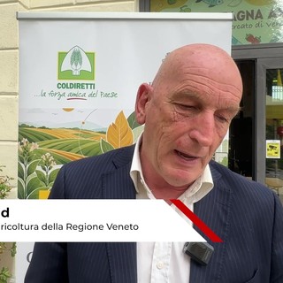 Tabacco, Bond (Regione Veneto): "Con accordo di filiera reddito e sicurezza agli agricoltori" Tabacco, Bond (Regione Veneto): "Con accordo di filiera reddito e sicurezza agli agricoltori"