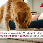 Pet food, previsto boom nel 2034: crescita 48% e 200 miliardi Pet food, previsto boom nel 2034: crescita 48% e 200 miliardi