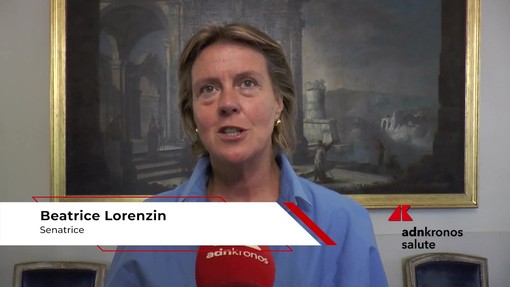 Farmaci: Lorenzin (Pd), 'sistema protegga industrie, università e ricerca Made in Italy' Farmaci: Lorenzin (Pd), 'sistema protegga industrie, università e ricerca Made in Italy'