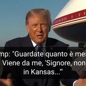 Trump insulta il giornalista: "Sei disgustoso, rimettiti in forma" Trump insulta il giornalista: "Sei disgustoso, rimettiti in forma"