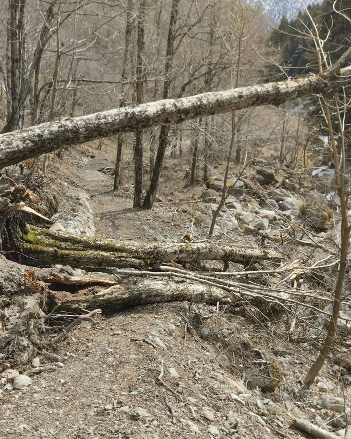 Sentieri del Vallone di Roj liberati dopo il maltempo: intervento del Parco nell’area sopra Fobello