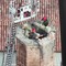 Maltempo Cremona, il video dall'alto dei vigili del fuoco che mettono in sicurezza la torre civica