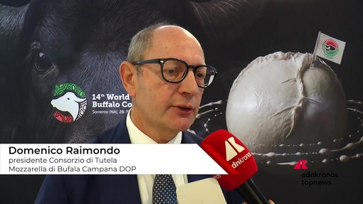 Raimondo (Consorzio Tutela Mozzarella di bufala campana Dop): "Siamo come cani da tartufo contro i falsi"