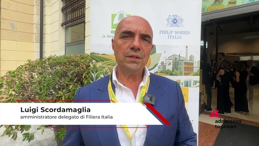 Tabacco, Scordamaglia (Filiera Italia): "Con accordo di filiera 9.800 occupati in Veneto" Tabacco, Scordamaglia (Filiera Italia): "Con accordo di filiera 9.800 occupati in Veneto"