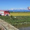 Gravissimo incidente aereo tra Crescentino e Livorno Ferraris