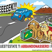 Illustrazione di Giovanni Cavallo