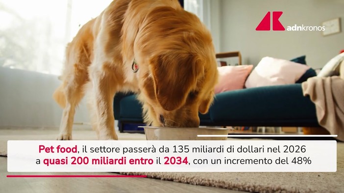 Pet food, previsto boom nel 2034: crescita 48% e 200 miliardi