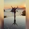 Roberto Bolle, l'incanto della danza al tramonto alle isole Li Galli