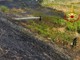 Da Vercelli: Incendio di sterpaglie lungo la A26/A4, intervento dei Vigili del Fuoco a Vercelli Da Vercelli: Incendio di sterpaglie lungo la A26/A4, intervento dei Vigili del Fuoco a Vercelli