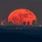 La Luna Rossa che attraversa lo skyline di Milano è nata sulle alture di Nebbiuno FOTO Valerio Minato