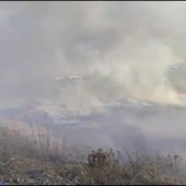 Incendio a Brindisi, a fuoco vasta area sterpaglie e canneto in zona industriale
