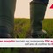Agroindustria, Cuneo lancia Tra_in: formazione, imprese e filiere integrate Agroindustria, Cuneo lancia Tra_in: formazione, imprese e filiere integrate