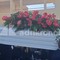 Funerali Lorena Isceri, l'uscita del feretro tra applausi e palloncini in cielo Funerali Lorena Isceri, l'uscita del feretro tra applausi e palloncini in cielo