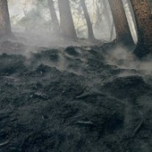 Monte Barone: il peggio è passato, ma l'incendio cela insidie