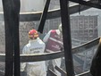 Casale Monferrato, incendio videoteca: sul posto anche i Vigili del Fuoco di Biella