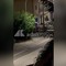 Assaltano un'armeria nel Cagliaritano, in un video le urla e gli spari nella notte