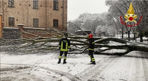 Neve, maltempo e danni nel Vercellese: oltre 40 interventi dei Vigili del Fuoco