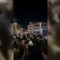 I maturandi cantano 'Notte prima degli esami', a Roma il rito si ripete