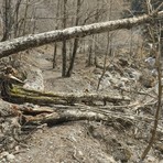 Sentieri del Vallone di Roj liberati dopo il maltempo: intervento del Parco nell’area sopra Fobello Sentieri del Vallone di Roj liberati dopo il maltempo: intervento del Parco nell’area sopra Fobello