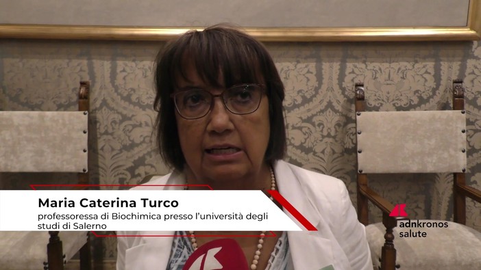 Farmaci: biochimica Turco, 'studiare meccanismi per molecole efficaci solo su processo patologico'
