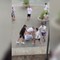 Giovani pestano a sangue un anziano in piazza nel Napoletano, il video choc Giovani pestano a sangue un anziano in piazza nel Napoletano, il video choc