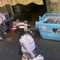 Due arresti per omicidio della caffetteria a Napoli, il video del 2009 che fece il giro del mondo Due arresti per omicidio della caffetteria a Napoli, il video del 2009 che fece il giro del mondo