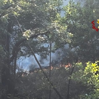 Incendio in alta Valsesia: continua il dispositivo di soccorso coordinato dai Vigili del Fuoco