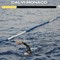 Dalla Corsica a Monaco a nuoto, l'impresa dell'uomo-pesce