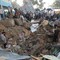 Gaza, Wafa: &quot;All'alba di oggi 22 morti in raid di Israele nella Striscia&quot;