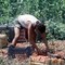 Crisi nei campi, lavoratori agricoli sempre più anziani e 1 su 2 è straniero
