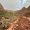 Alluvione lampo travolge il Grand Canyon: 1 morto e 15 escursionisti dispersi