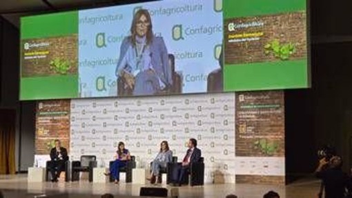 Santanchè: &quot;Dop è fondamentale per aumentare offerte&quot;