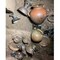 Incredibile scoperta della missione archeologica di Virgil Academy a Barbarano Romano (Vt)