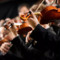 Su Tivusat l’omaggio al violinista Perlman e ai giovani talenti europei